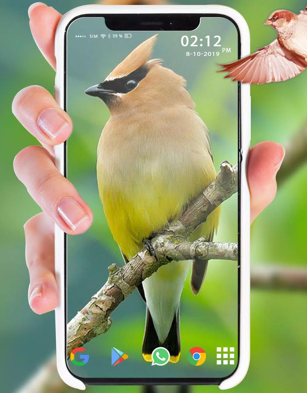 3D Birds live wallpaper |4K HD Background Effects APK for Android Download 3D Birds live wallpaper |4K HD Background Effects APK for Android Download