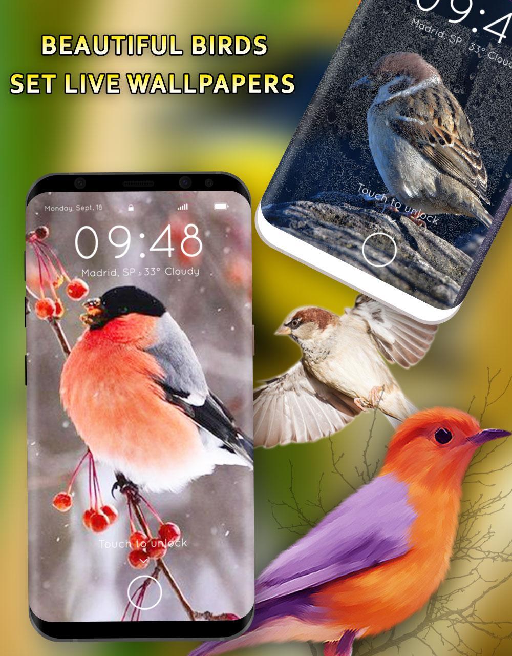 Download 6100 Koleksi Background Alam Burung Gratis Terbaru