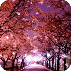 Sakura Live Wallpaper APK 下載