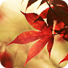 Autumn Live Wallpaper icono