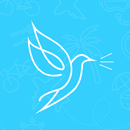 Flying Freely Local APK