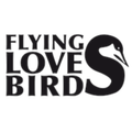 Flying Love Birds