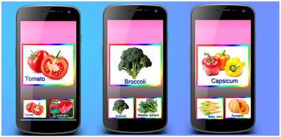 vegetables and fruits Cartaz