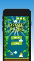 Flying Parakeet Affiche