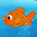 Fly The Fish (Made In India)