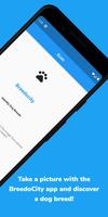 BreedoCity - Dog Breed Identification App скриншот 1