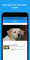 BreedoCity - Dog Breed Identification App स्क्रीनशॉट 2