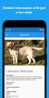 BreedoCity - Dog Breed Identification App imagem de tela 3