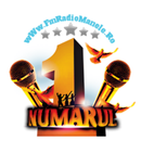 Fm Radio Manele APK