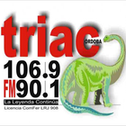 FM Triac icône
