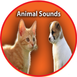 Animal Sounds 아이콘