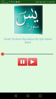 Surah Yaseen (Offline Audio) Q capture d'écran 1