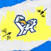 York Revolution