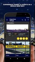 Augustana Vikings Affiche