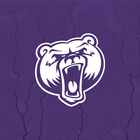 Bellevue Bruins icon