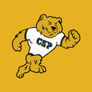 CSP Bears APK