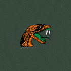Florida A&M Rattlers ไอคอน