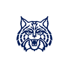 Wilmington Wildcats Athletics 圖標