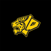 Tiger Teams