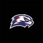 Icona HawkNation AHS