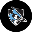 Hopkins Sports 圖標