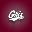 Montana Grizzlies