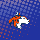 Naperville North HS ไอคอน