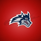 Stony Brook Athletics icon