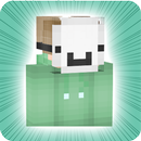 APK Dream Skins for Minecraft PE