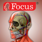Head and Neck- Digital Anatomy icône