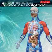 Anatomy and Physiology atlas ไอคอน