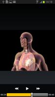 FAQs in Asthma скриншот 3