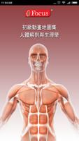 Altas人体解剖和生理学初级动画 постер