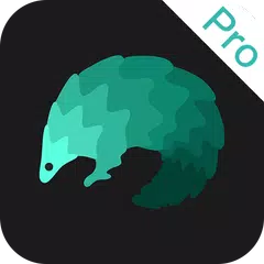 穿梭Pro - 海外华人访问中国视频音乐专业VPN加速器 APK 下載