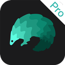 穿梭Pro - 海外华人访问中国视频音乐专业VPN加速器 APK