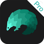 穿梭Pro icono