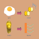 ikon Triglycerides