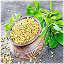 Methi ke Fayde APK