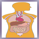Nervous System APK