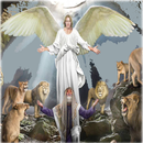 The Summary of Daniels Book APK