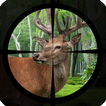 ”Deer Hunting - Expert Shooting