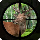 Deer Hunting - Expert Shooting APK