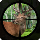 Deer Hunting - Expert Shooting icon