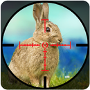 Rabbit Shooting - Wild Hunting APK