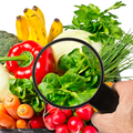 Food Safety