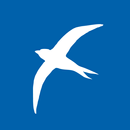 Мир Кровли APK