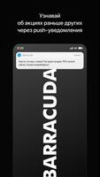 Barracuda | Находка Affiche