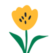 Belflower.ru