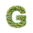 Green Shym Доставка в Шымкенте-APK