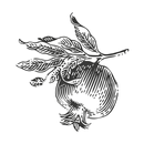 Ресторан Пуриани APK